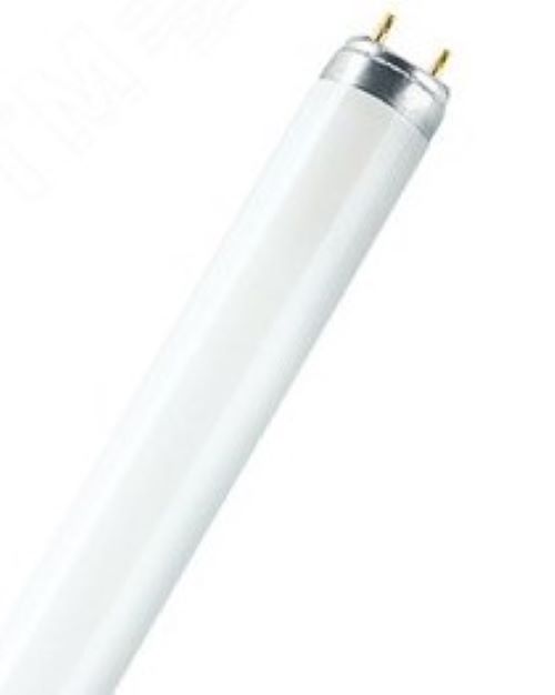 Люминесцентные