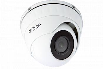 AKSILIUM Камера Bitvision IP-202 FPA (2.8) SD Starvis